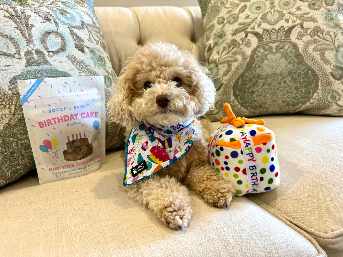 Dog Bandana - Birthday