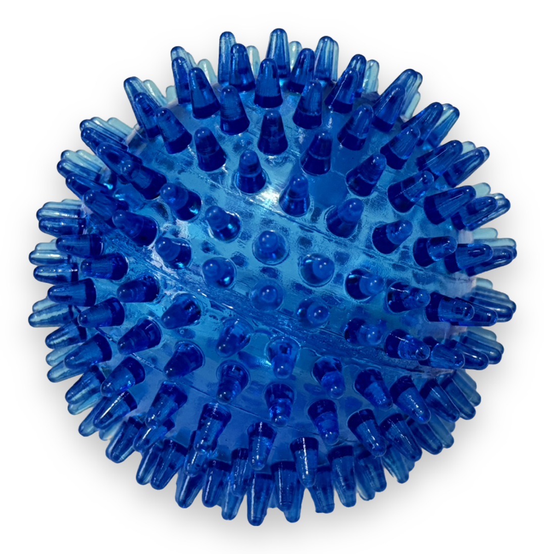 Dog Toy - Spiky Ball Squeaker